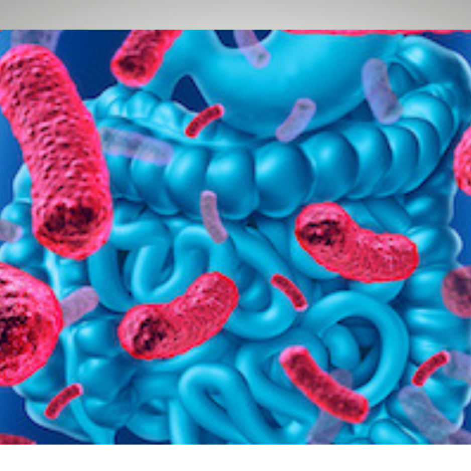 ANALISI DEL MICROBIOTA INTESTINALE: GUT SCREENING
