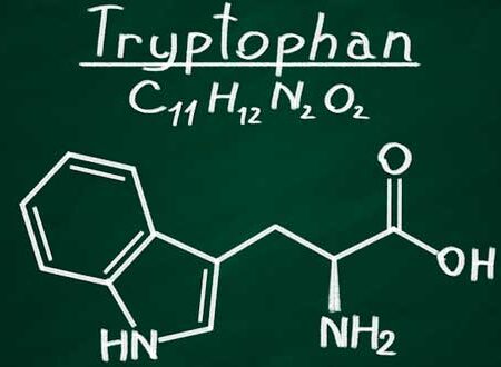 METABOLISM OF TRYPTOPHAN AND NEUROTOXICS