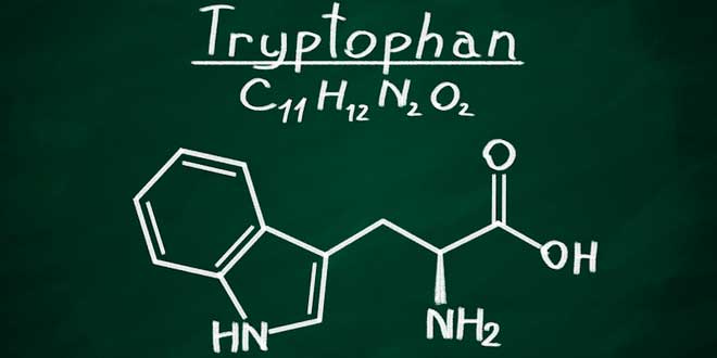 Metabolismo del triptofano e neurotossici