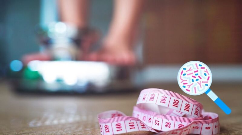 Il microbiota intestinale nel dimagrimento: nemico o alleato?