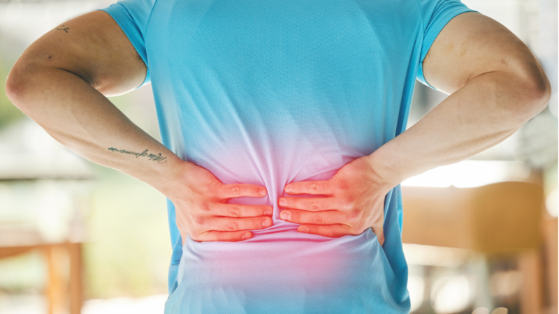 Fibromialgia e microbiota intestinale