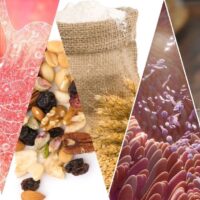 Intolleranze alimentari e microbiota intestinale: qual è il legame?