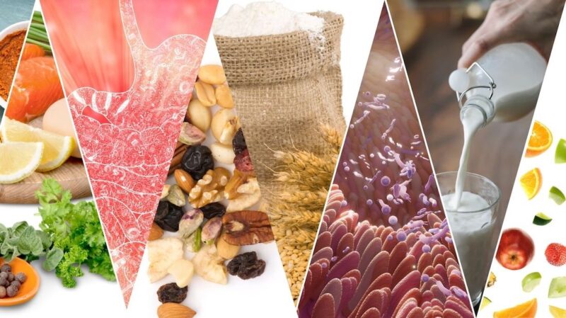 Intolleranze alimentari e microbiota intestinale: qual è il legame?