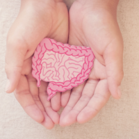 Probiotici, prebiotici e postbiotici: cosa sono e perché sono importanti per il microbiota intestinale