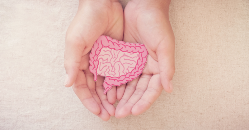 Probiotici, prebiotici e postbiotici: cosa sono e perché sono importanti per il microbiota intestinale