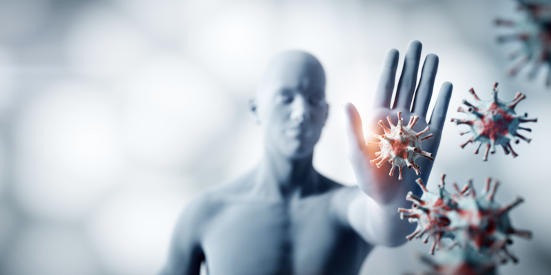 Sistema immunitario e microbiota intestinale: un legame fondamentale per la salute